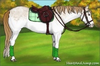 Horse Color:White Spotted Red Dun Ice Roan Splash 