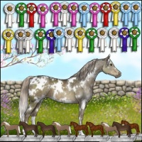 Horse Color:White Spotted Chocolate Palomino