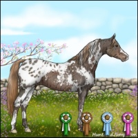 Horse Color:White Spotted Liver Chestnut Ice Appaloosa 