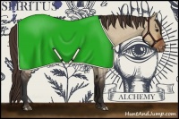 Horse Color:Bay Roan Dun Appaloosa 