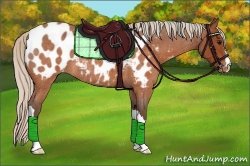 Horse Color:Silver Brown Roan Blanket 