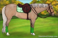 Horse Color:Silver Buckskin Roan 