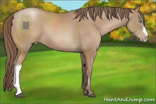 Horse Color:Black Pearl 