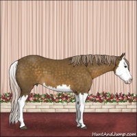 Horse Color:Chocolate Palomino Splash