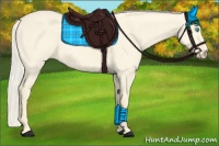 Horse Color:Cremello Dun 