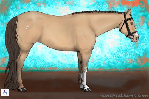 Horse Color:Amber Champagne