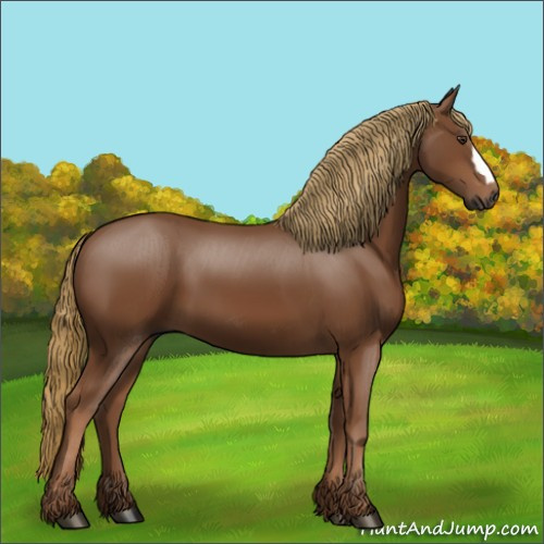 Horse Color:Gray Chestnut 