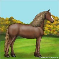 Horse Color:Gray Chestnut