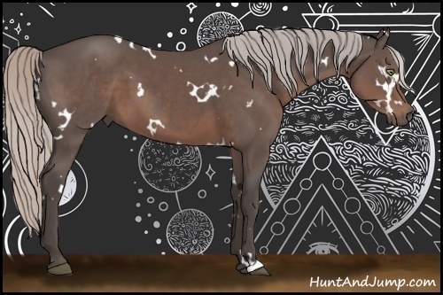 Horse Color:White Spotted Silver Black 