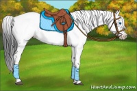 Horse Color:Black Frame 