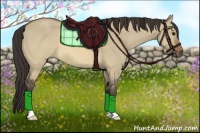 Horse Color:Buckskin Dun 