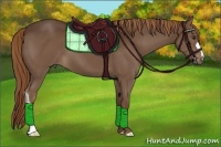 Horse Color:Liver Chestnut 