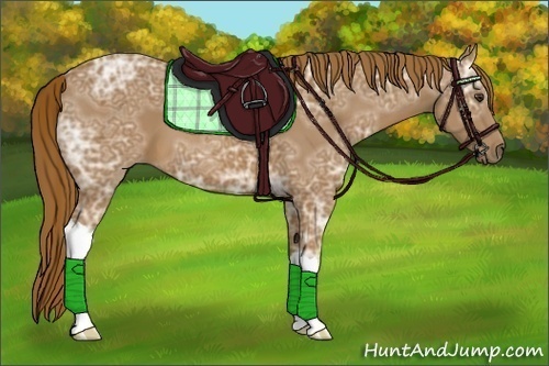 Horse Color:Chestnut Ice 