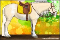 Horse Color:White Spotted Gold Cream Champagne 