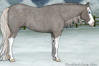 Horse Color:Silver Blue Roan Splash
