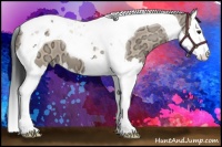 Horse Color:Bay Ice Dun Splash Tobiano