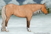 Horse Color:Silver Bay Roan 