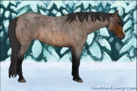 Horse Color:Bay Ice Roan 