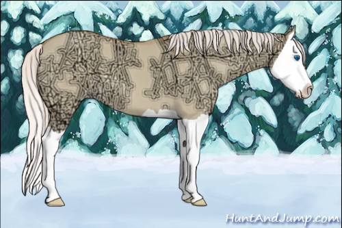 Horse Color:Silver Amber Champagne Ice Dun Splash 