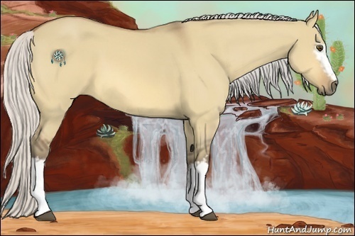 Horse Color:White Spotted Silver Buckskin Dun 