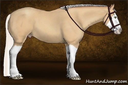 Horse Color:Silver Amber Champagne Splash 