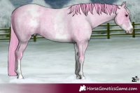 Horse Color:Watercolor White Spotted Bay Roan
