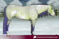 Horse Color:Watercolor Bay Roan Frame