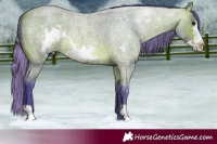 Horse Color:Watercolor Bay Roan Frame 