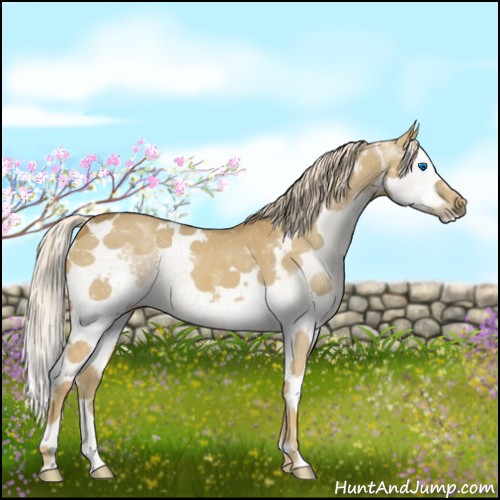 Horse Color:White Spotted Chocolate Palomino Dun Splash Brindle