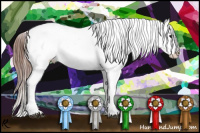 Horse Color:Blue Roan Blanket