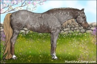 Horse Color:Liver Chestnut Sabino