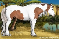 Horse Color:Silver Brown Splash Tobiano 