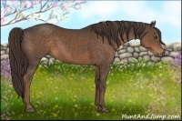 Horse Color:Liver Chestnut Sabino
