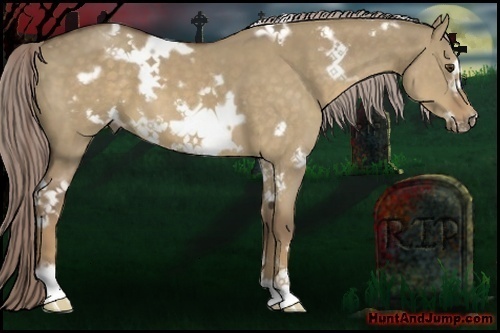 Horse Color:White Spotted Chocolate Palomino Dun Frame 