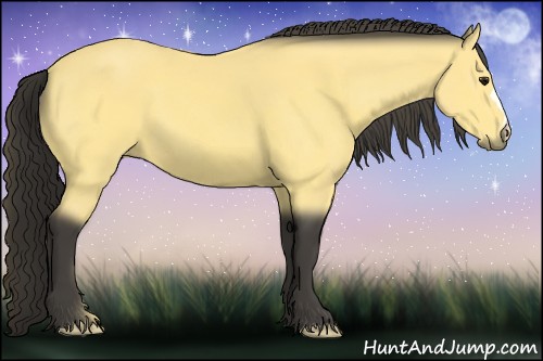 Horse Color:Buckskin 