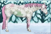 Horse Color:Watercolor Brown Ice 