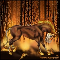 Horse Color:Silver Bay 