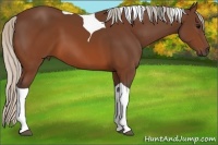 Horse Color:Silver Brown Tobiano 