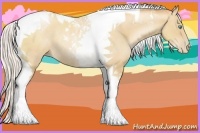 Horse Color:Silver Classic Champagne Pearl Tobiano Rabicano 