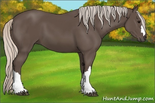 Horse Color:Silver Black 