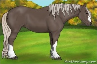 Horse Color:Silver Black 