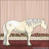 Horse Color:Palomino Dun Blanket