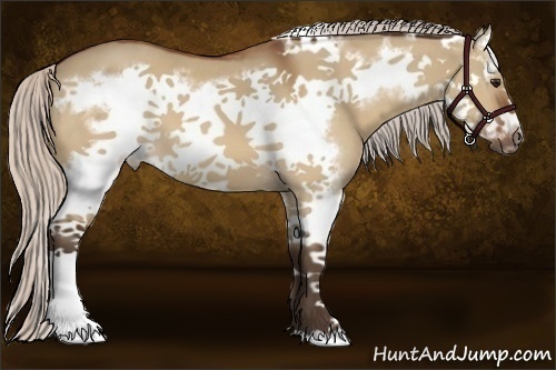 Horse Color:Silver Bay Dun Splash Frame 
