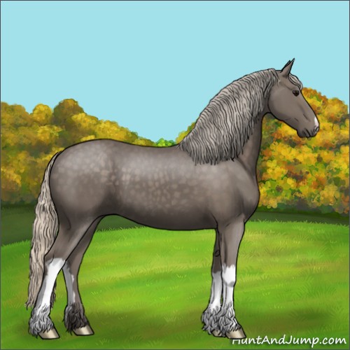 Horse Color:Silver Black 