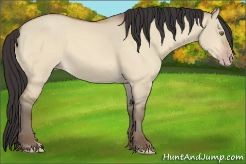 Horse Color:Amber Champagne Dun 