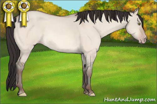 Horse Color:Amber Champagne Dun 