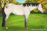 Horse Color:Amber Champagne Dun 