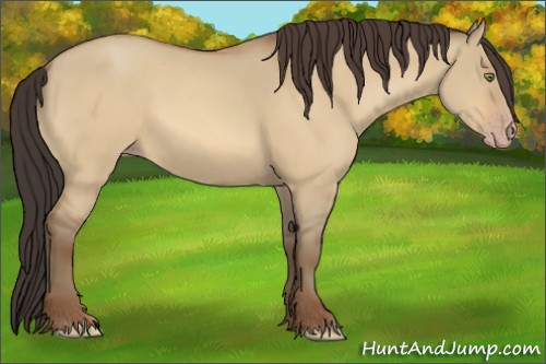 Horse Color:Amber Champagne Dun 