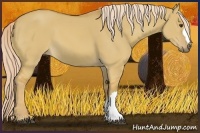 Horse Color:Palomino Dun 