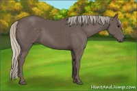 Horse Color:Silver Black 